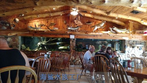 海鲨水族工厂介绍一些养鱼小知识
