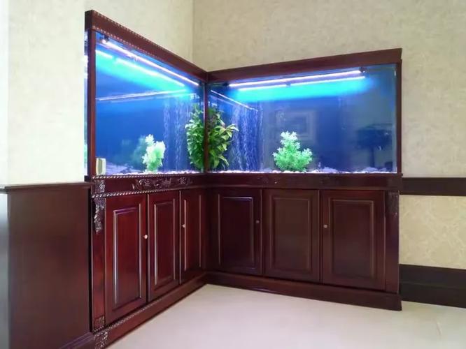 百晶坊专业水族定制工厂 13501211685狄宏