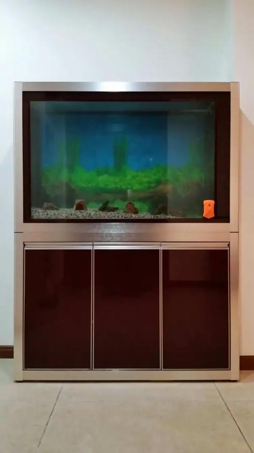百晶坊专业水族定制工厂 13501211685狄宏