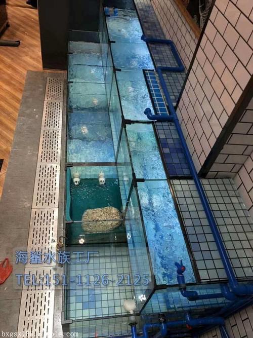 沅陵县超市鱼缸上门定做生鲜店海鲜鱼缸认准海鲨水族工厂