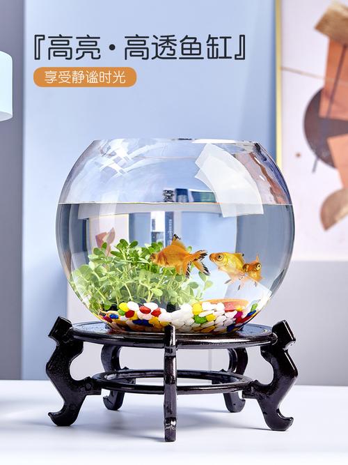 圆水族箱 从厂家、品牌到热帖，一篇搞懂选购与风水、养鱼门道