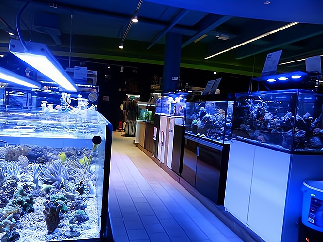 水族店创业指南 专业指导助你轻松开店