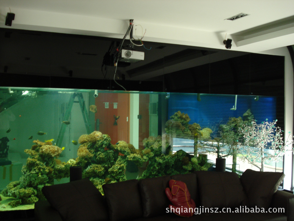 上海强进水族用品 优质鱼缸器材厂家直供，品质与价格兼得